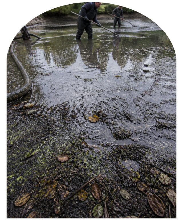 Очистка пруда в Лениногорске от ила мусора и водорослей с вывозом
